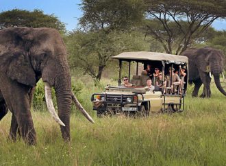 Which Tanzanian National Park Offers the Best Luxury Safari?