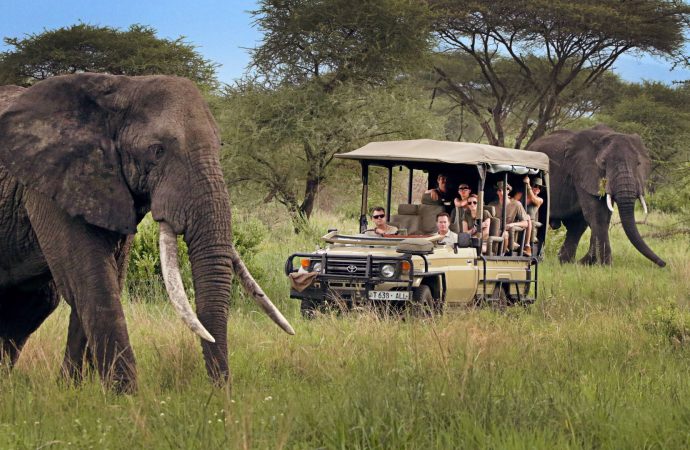 Which Tanzanian National Park Offers the Best Luxury Safari?