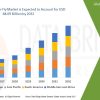 Potential of the Black Soldier Fly Market: Sustainable Solution