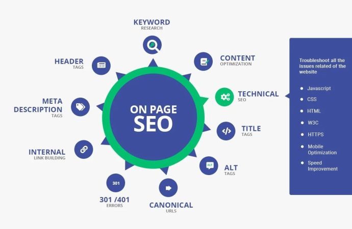 Stores Potential: On Page SEO Services USA by Ecommerce SEO Agency USA