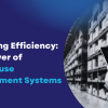 Unlocking Efficiency: The Power of Warehouse Management Systems