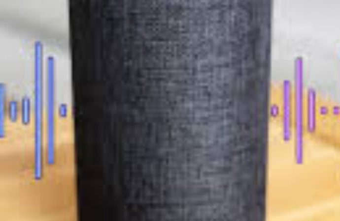 Learn How to Connect Alexa to WiFi on Android and iPhone