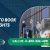 How to Find the Best Day to Book United Flights