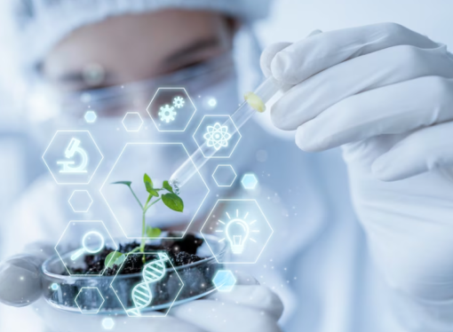 U.S. Biotechnology Breakthroughs: Advancing Health and Innovation
