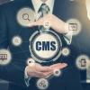 How to Pick the Right CMS for Your Business in 2025