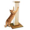 Cat Scratchers: The Smartest Solution for U.S. Pet Owners