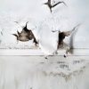 Mold Risks After Water Damage: What You Need to Know