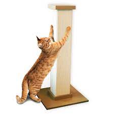 Cat Scratchers: The Smartest Solution for U.S. Pet Owners