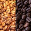 The Sustainable Elegance of Shade-Grown Organic Coffee