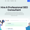 Professional SEO Consultant Online | Professional SEO Consultant