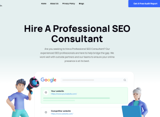 Professional SEO Consultant Online | Professional SEO Consultant