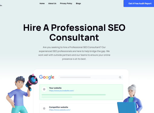 Professional SEO Consultant Online | Professional SEO Consultant