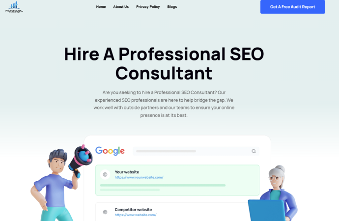 Professional SEO Consultant Online | Professional SEO Consultant