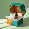 Luxury Finishes for Printed Custom Tincture Boxes Packaging
