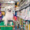 Popular Dog Food Stores Ocala Residents Choose