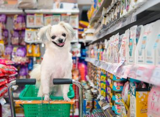 Popular Dog Food Stores Ocala Residents Choose