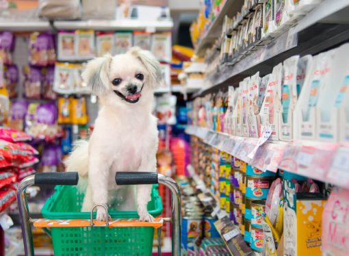 Popular Dog Food Stores Ocala Residents Choose
