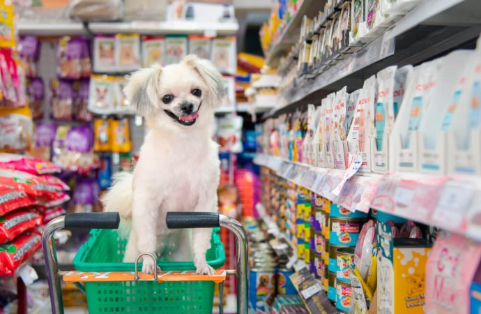 Popular Dog Food Stores Ocala Residents Choose