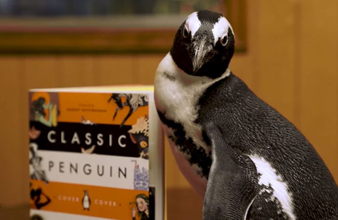 Inside Penguin Books Publishers: Shaping Publishing’s Future
