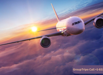 Book United Airlines Business Class Flights With GroupTripo