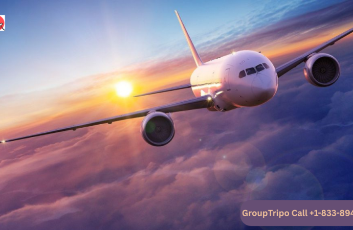 Book United Airlines Business Class Flights With GroupTripo
