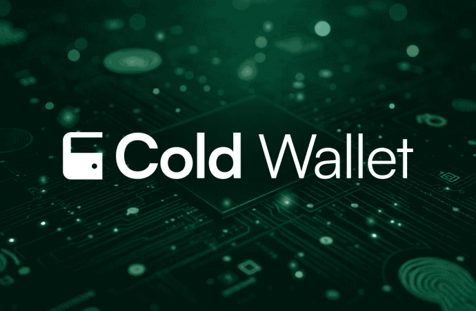 What Is a Cold Wallet and Why Every Crypto Investor Needs One in 2025