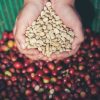 Organic Medium Roast Coffee Beans for Smooth Flavor