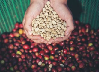 Organic Medium Roast Coffee Beans for Smooth Flavor