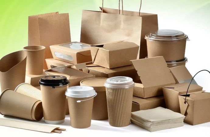 Paper and Paperboard Trays Market Forecast 2025-2034