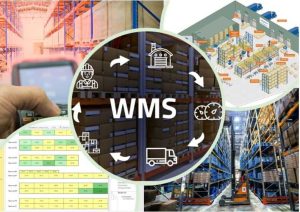 Warehouse Management Systems (WMS)