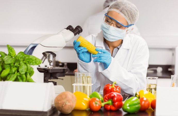 Europe Food Safety Testing Market to Reach USD 10.74 Billion by 2033