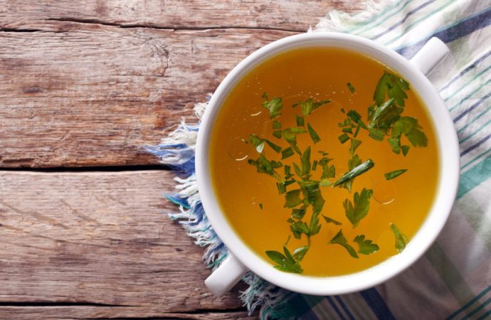 The Impact of Spiced Broths on Pet Gut Health