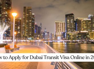 How to Apply for Dubai Transit Visa Online in 2025