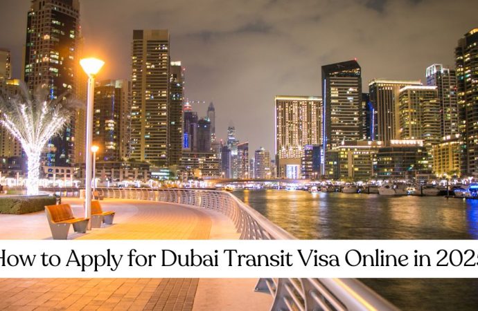 How to Apply for Dubai Transit Visa Online in 2025