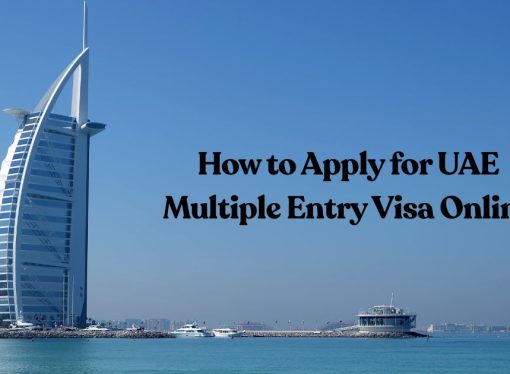 How to Apply for UAE Multiple Entry Visa Online