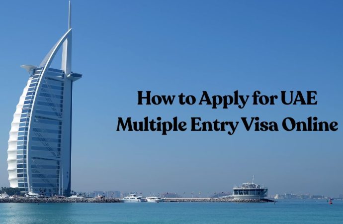 How to Apply for UAE Multiple Entry Visa Online