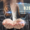What Are B2B Cloud Services?