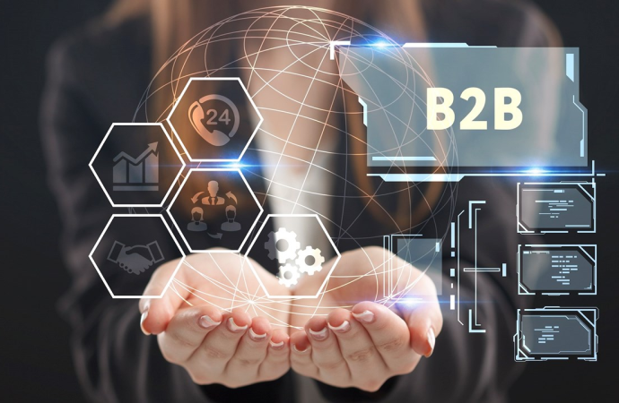What Are B2B Cloud Services?