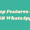 Top Features of GB WhatsApp