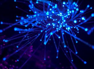 Why Identity Access Management Solutions are Essential for Security