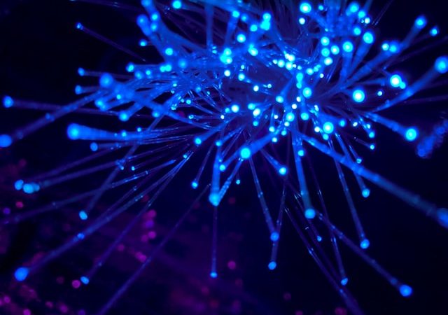 Why Identity Access Management Solutions are Essential for Security