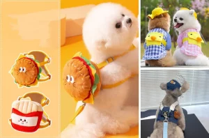 Small Animal Toys Guide for Furry Friends