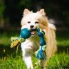 Fun and Safe Small Animal Toys Guide for Furry Friends