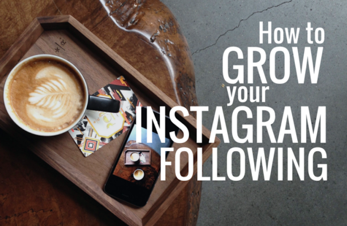 How to Grow Instagram Followers Fast: Guide to Instagram Success