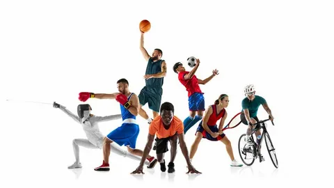 Gear Up Right: Where Champions Shop for Victory