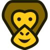 Meet Strangers, Make Friends, and Join the Trend with Tingl App