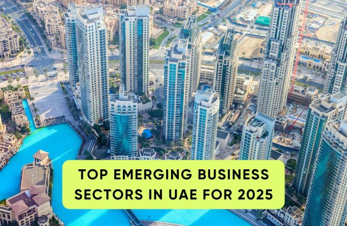 Top Emerging Business Sectors in UAE for 2025