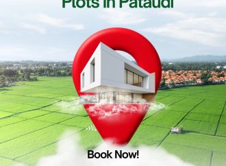 VKS Palm Drive Plots in Pataudi: A Perfect Blend of Nature, Comfort