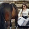 Best Horse Feed and Tips for Healthy Weight Gain