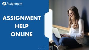 Boost Your Grades with Online Programming Assignment Help